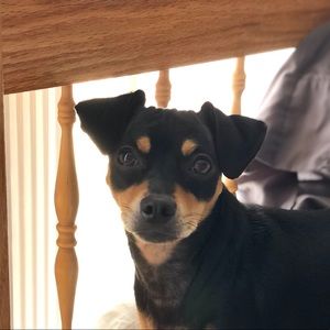 Meet your Posher, Carla